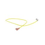 Burner Sensor Wire